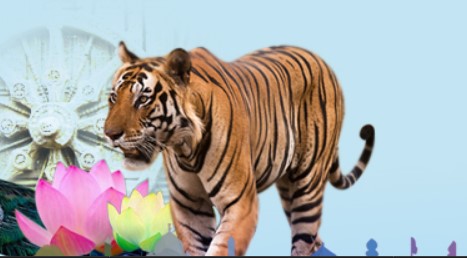 Bengal Tiger