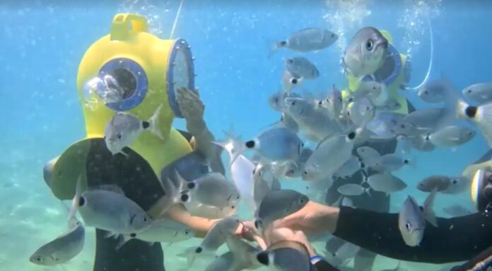 scuba diving in Croatia